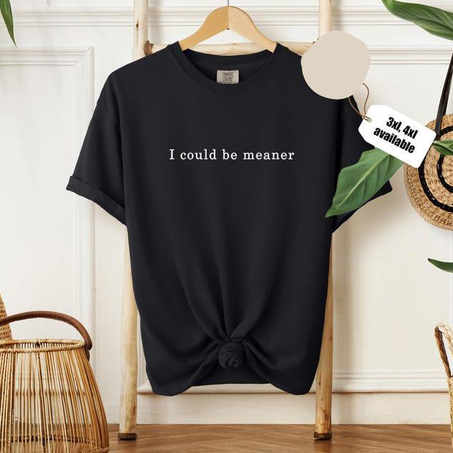 I Could Be Meaner T-Shirt/Sweatshirt/Hoodie