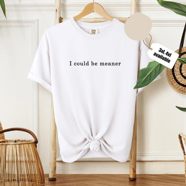 I Could Be Meaner T-Shirt/Sweatshirt/Hoodie