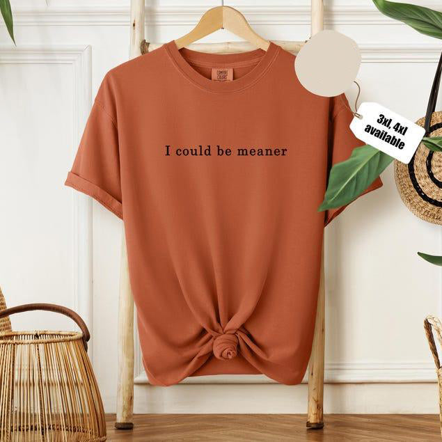 I Could Be Meaner T-Shirt/Sweatshirt/Hoodie