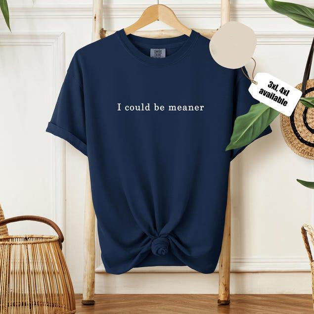I Could Be Meaner T-Shirt/Sweatshirt/Hoodie