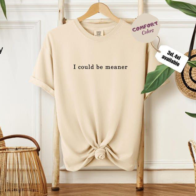 I Could Be Meaner T-Shirt/Sweatshirt/Hoodie