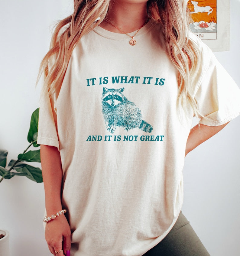 It Is What It Is and It’s Not Great Unisex T-Shirt/Sweatshirt/Hoodie